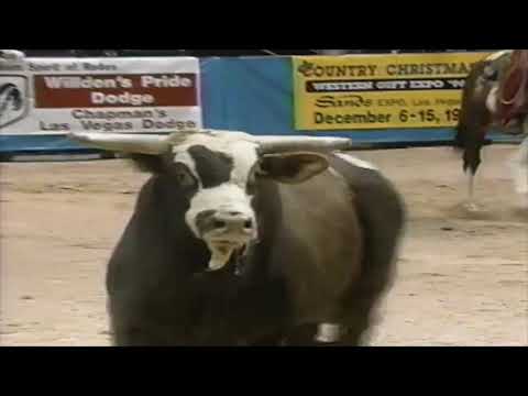 Maverick bucks Josh O'Byrne - 96 PBR Finals
