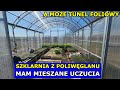 Szklarnia z Poliwęglanu czy Kupiłbym Znowu. Czym się Sugerowałem przy Zakupie Szklarni Tunel Foliowy