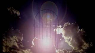 Son This Is She - John Leyton