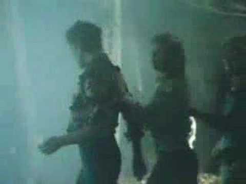 white wolf - shadows in the night