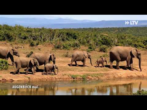 AUGENBLICK mal... - 20.09.2018