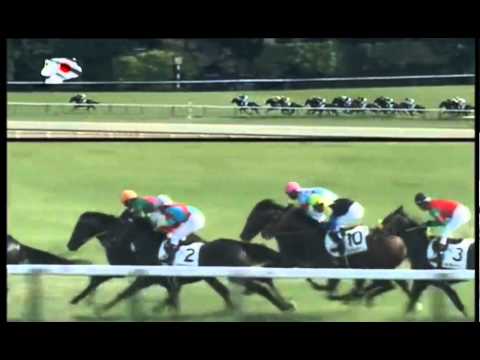 2014 TOKYO YUSHUN (JAPANESE DERBY)(G1)