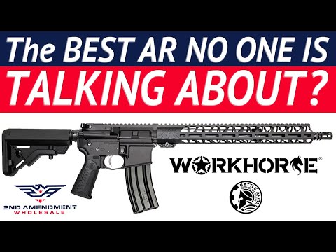 The BEST AR-15 No One Is Talking About?