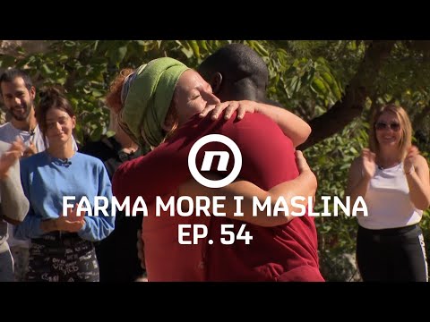 Tiha voda brege dere - Epizoda 54 | Farma More i Maslina