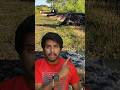 Deadly Crocodile Story Sri Info Tamil