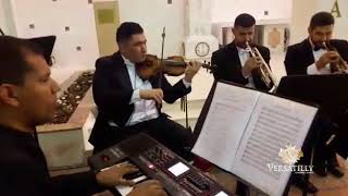 Love Me Like You Do (Instrumental) - Banda Versatilly Cerimonial &amp; Eventos