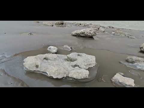 Rada Tilly, Comodoro Rivadavia, Chubut, explorando playa sur (22-02-26)