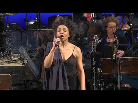 Bye, Bye, Blackbird | Fola Dada | Dennis Mackrel | The Rhine Phillis Orchestra