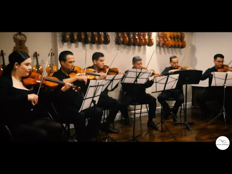 Cielito Lindo for 6 violins arranged by Jorge Vazquez