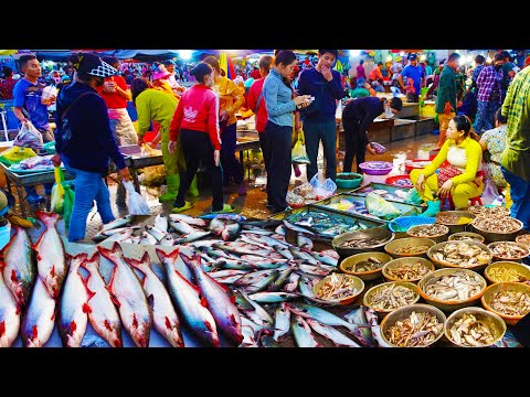 Early Morning Fish Market Screen Squid,​ Lobster, Shrimp​, Sea fish, Eel, Fish & more
