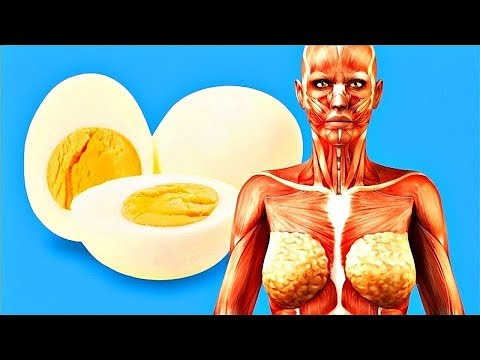 Come sviluppare bambino gomito Fibromi uterini mal di schiena