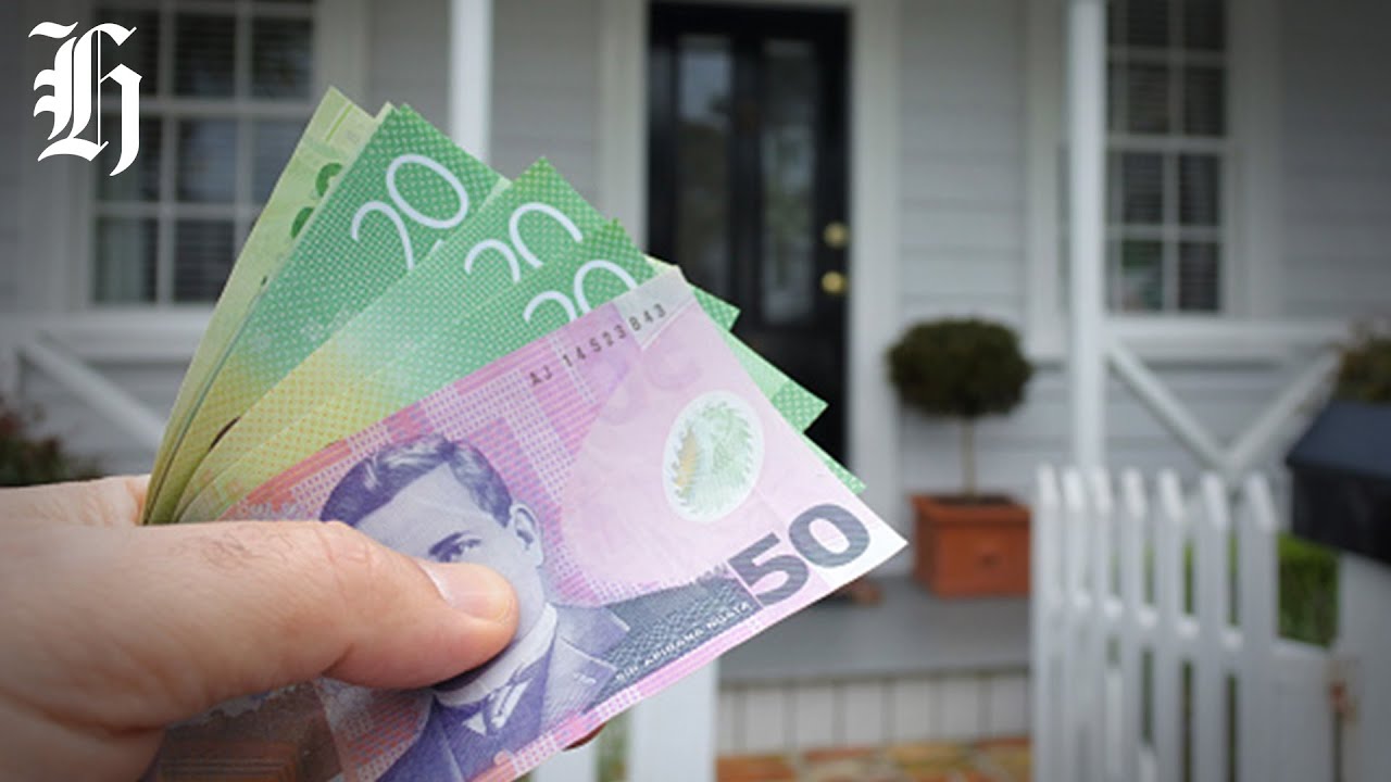 Who's buying the Hurricanes? Business with 2degrees | Herald NOW