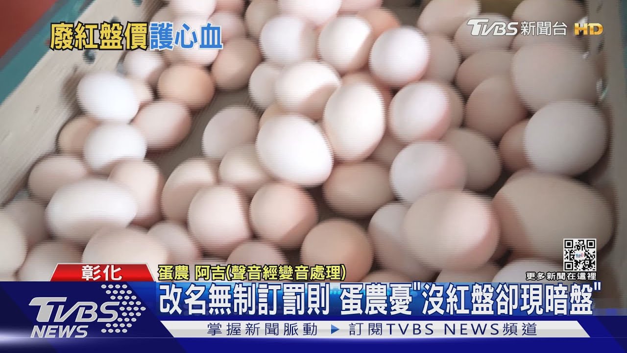止蛋風波!一掃「紅盤價」 農委會:將訂合理機制