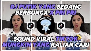 Download lagu DJ Putik Yang Sedang Berbunga X Pri Pri Sound Viral TikTok 🎧⚡ mp3 Download lagu DJ Putik Yang Sedang Berbunga X Pri Pri Sound Viral TikTok 🎧⚡ mp3