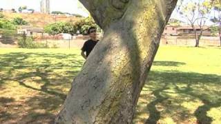 Traditions (Higher Quality)-The Hush Now