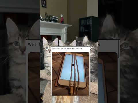 We all had to do this at one point in our life ￼