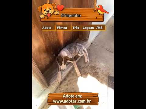Vídeo de Chiquinha