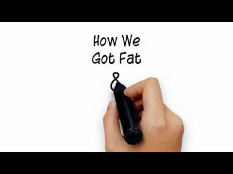 How We Got Fat & Why We Stay Fat - Mike Sheridan - Author - Eat Meat And Stop Jogging