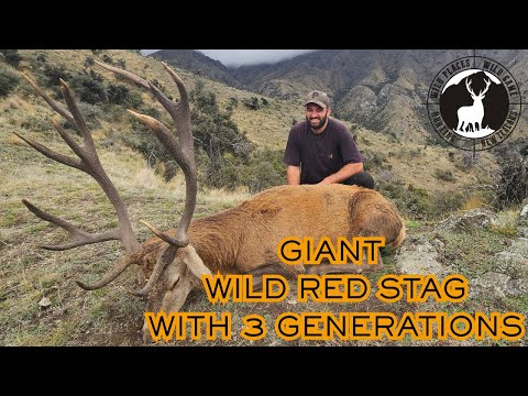 Giant Wild Red Stag with 3 Generations - Vlog 18 - Free Range Hunting New Zealand