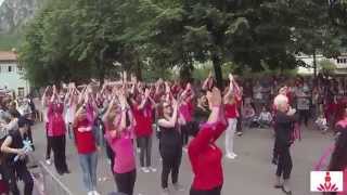 preview picture of video 'Fiera del giovane Storo (TN) 01/06/2014 ----  V-Day Flashmob 1 Billion Strong!'