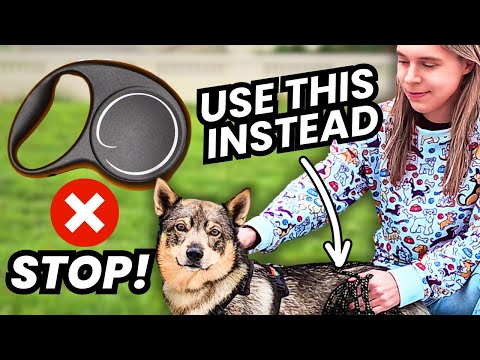 4 Reasons Why I'll NEVER Use A Retractable Dog Leash Again