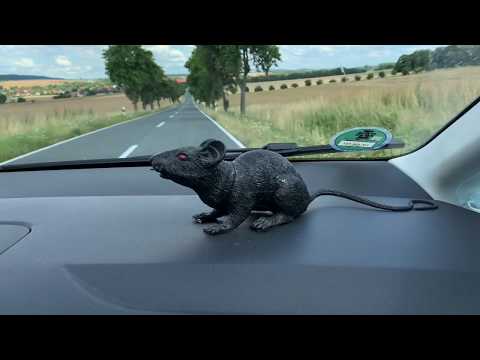 Schüler,s on Tour   Wasserburg Zilly