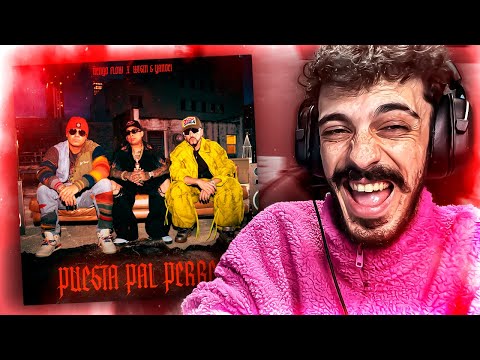 MI REACCIÓN a Ñengo Flow, Wisin y Yandel - Puesta Pal Perreo