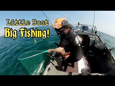 Sea Angling Classic 2023 With The Suzuki Fishing Team