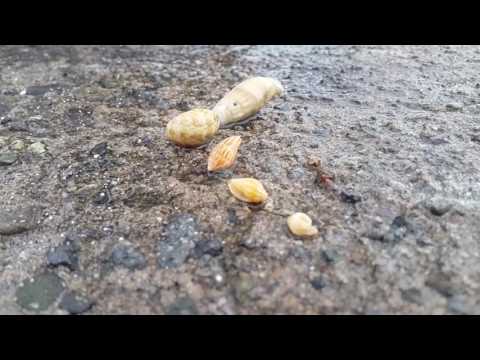 Beach Outing! #happy