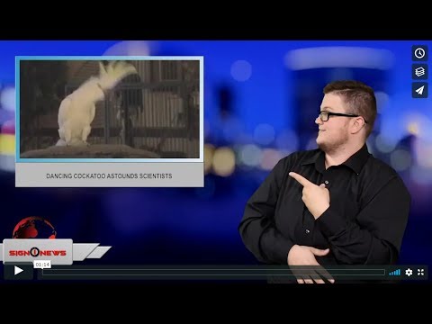 Dancing cockatoo astounds scientists (ASL - 7.10.19)