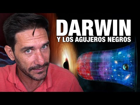 What if the Big Bang is a Black Hole from Another Universe? | Give Yourself a Vlog