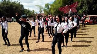 Download lagu Goyang teri meri mp3