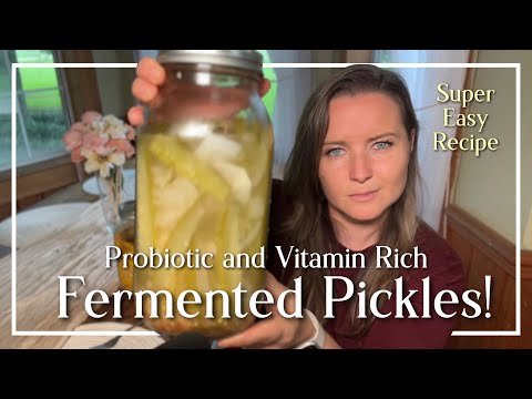 The Best Fermented Pickles : Delicious Super Easy Recipe!