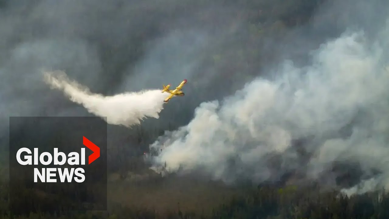 youtube video id=ggw4GPBcm6I