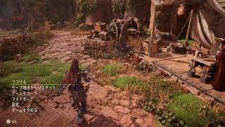 HORIZON FORBIDDEN  WEST
