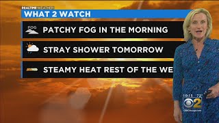 Chicago Weather: Patchy Fog In The Morning