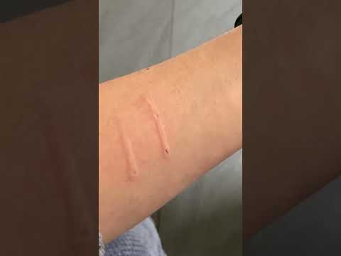 Cat aggressively bites owner and then says sorry  #cat  #cats #shorts