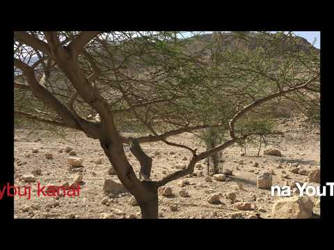 ks. Maciej Jaszczołt: Mk 6, 30 - 34 - Odpocznijcie nieco!