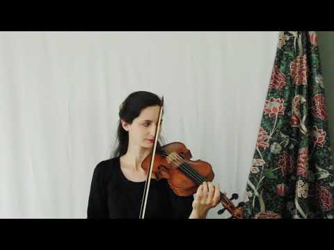 Rezonance: Die Katz clip from Biber's Sonata Representativa