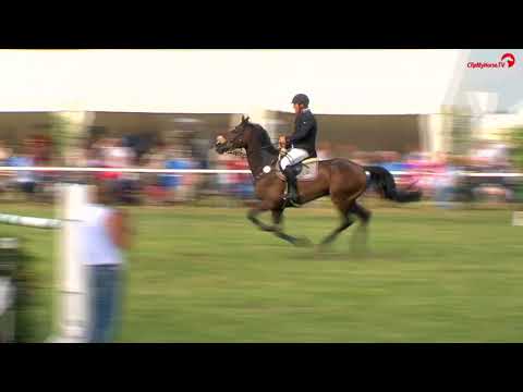 Jan Philipp Schultz  - Quintus S 2  - GP Tasdorf