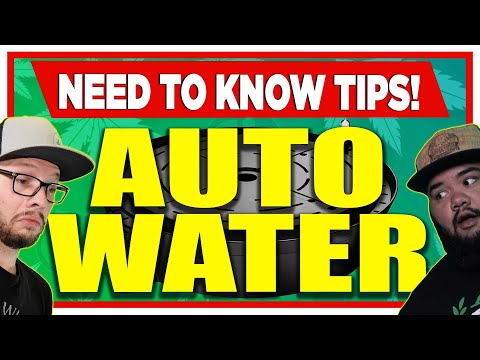 Auto Watering Tips You NEED to Know