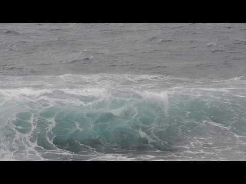 "Galiotova pesan" - Tamara Obrovac TransAdriatic quartet - LIVE @MMC Rovinj