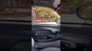 2000 Porsche Boxster Left Window