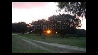 Blackmore&#39;s Night - Mond Tanz / Child in time. Sub. Español