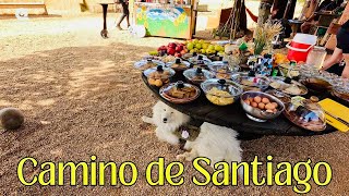 CAMINO de SANTIAGO - Day 24