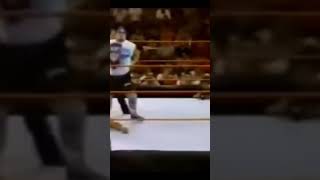 blue meanie finisher
