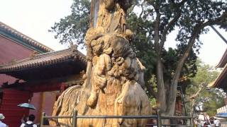 Video : China : A walk around the Forbidden City 紫禁城