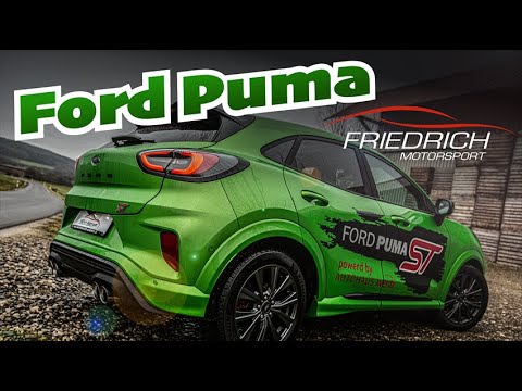 Friedrich Motorsport - Ford Puma ST