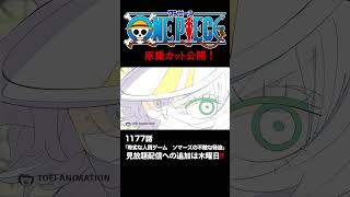 アニメ「#ONEPIECE」見放題配信への追加は木曜日‼️1177話‼️ #onepiece #原撮