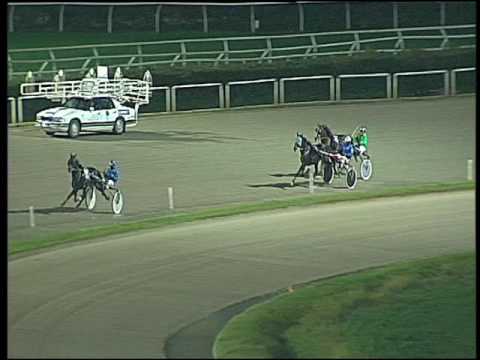 Trotto 25/11/2016 - prova di qualifica